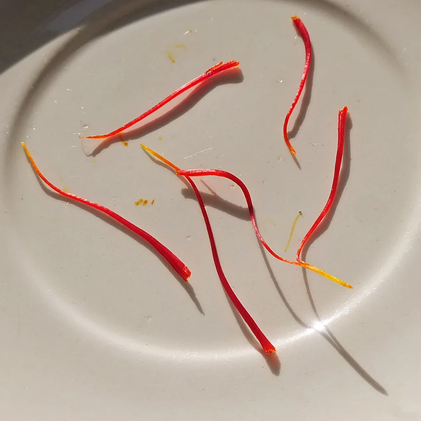 A measured portion of saffron threads arranged on a white plate.